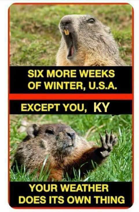 moskiecat's tweet photo. 70 degrees today #kentuckyweather https://t.co/gtfceyKKHv