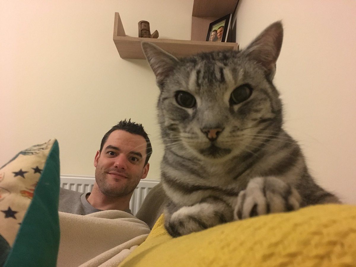 mikechilli's tweet image. He's such a poser #cat #catsoftwitter #catogram