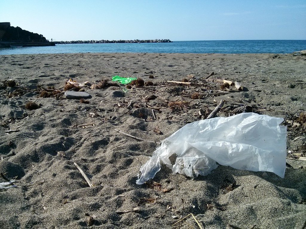 unep_espanol's tweet photo. Panamá prohibió las bolsas de #plástico 🛍️.
Chile planea erradicarlas de las ciudades costeras 🌊. 
Colombia les puso un impuesto 💵. 
Conoce los esfuerzos de la región para acabar con la #basuramarina. https://t.co/ulprV1fqJh  #MaresLimpios https://t.co/QA6TBuAsvz