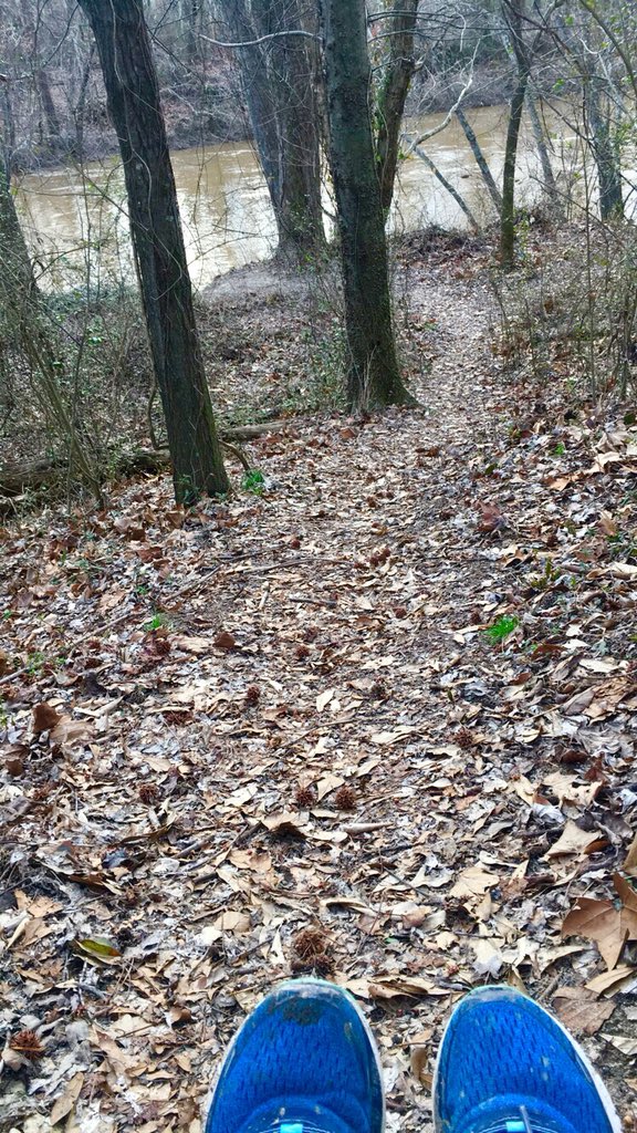 lexiememphis's tweet photo. The trifecta of: an unexpected afternoon with time to run, 74°, and @brooksrunning shoes that needed to be broken in. Add in a podcast featuring @mbalexan, and you know why the #endorphins are high!  #workhardplayhard #runthe901 #wolfriver #trailrun https://t.co/9pDxLvhptM