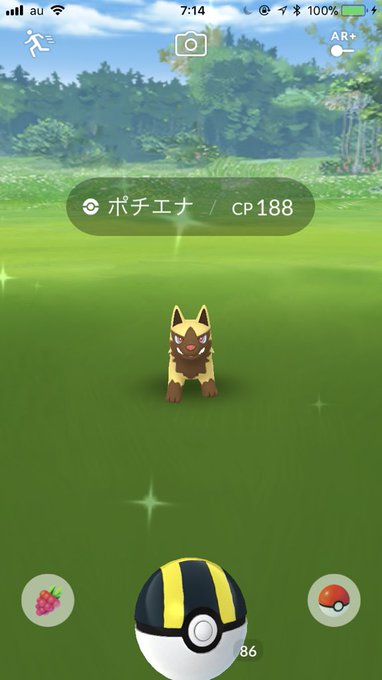 ポケモンgo 今日から新イベント ポチエナ の色違いも まとめダネ ポケモンgo 今日から新イベント ポチエナ の色違いも まとめダネ