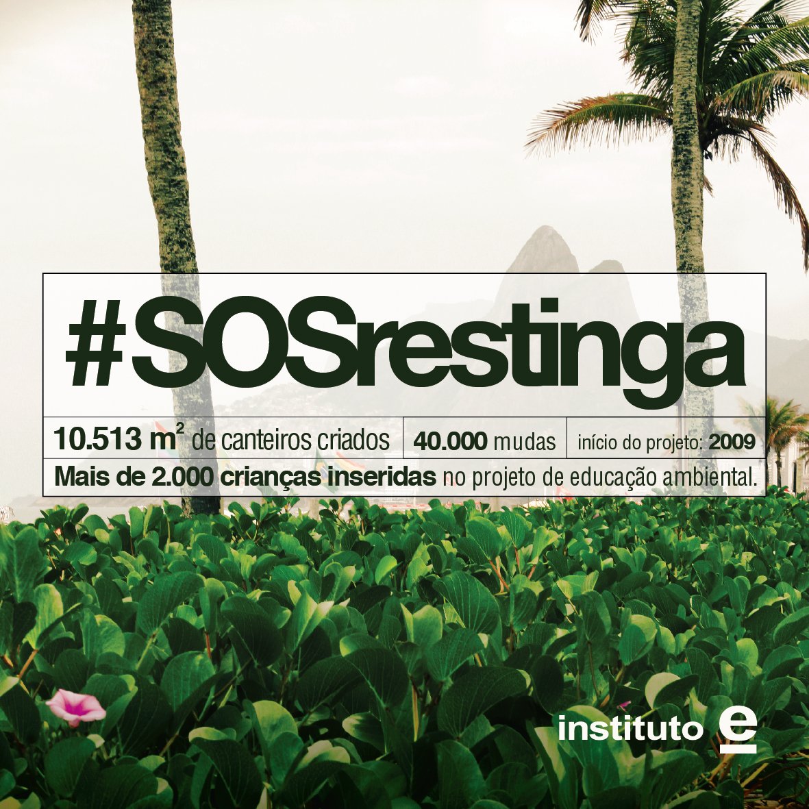 institutoe_org's tweet photo. #SOSrestinga Contamos com seu engajamento para compartilhar a importância ambiental e social deste projeto para nossa cidade do Rio de Janeiro, realizado há mais de 9 anos com enorme  esforço e comprometimento de todos os envolvidos. https://t.co/OGXxk0PBTf