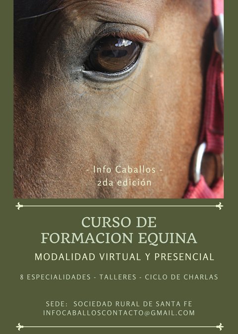 info_caballos's tweet photo. https://t.co/ulPpSGWlSY