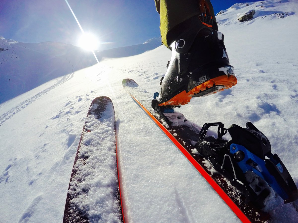 Doglotion Ski Mag tweet media