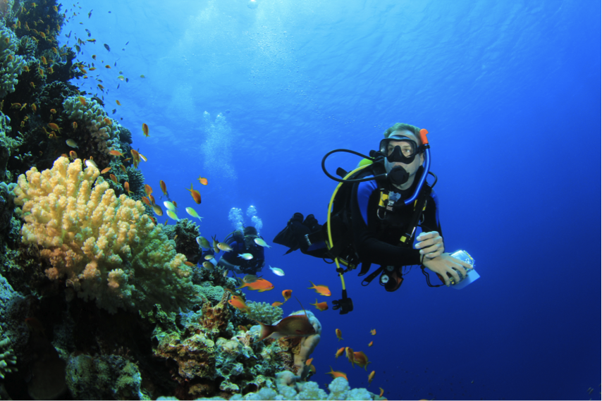 CEBdom's tweet photo. La Isla Catalina es una zona deshabitada y protegida, con arrecifes de coral y muy visitada por buzos y snorkelers. Es una de las grandes riquezas de nuestra zona. #IluminamosElTurismo #Turismo https://t.co/Xr0DrdGF3y