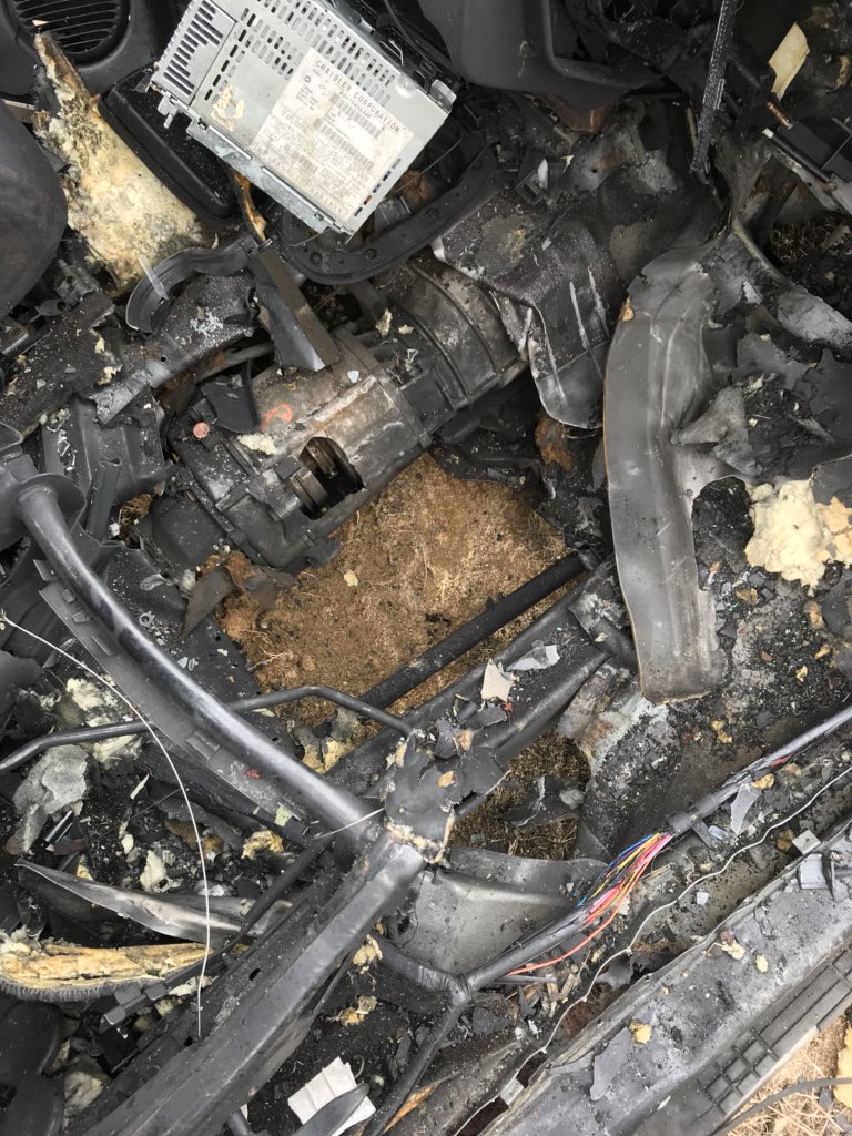 5_0Squirrel's tweet photo. I love my job #Training #PostBlast #BombTeam https://t.co/v37ateaJp8