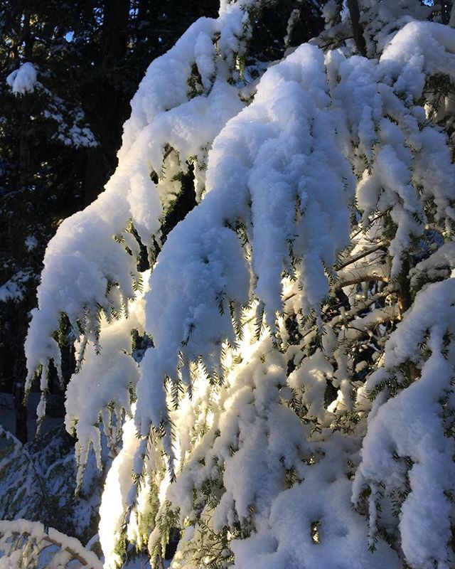 MSA Adventures tweet media