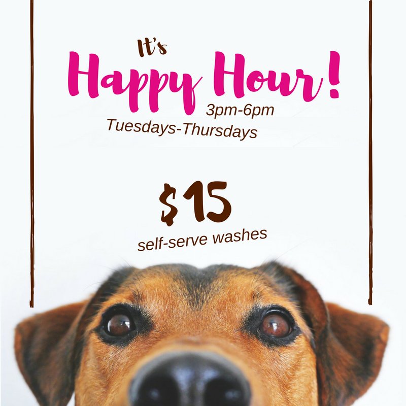 Join us for Happy Hour! As always, we have three free shampoos on tap.