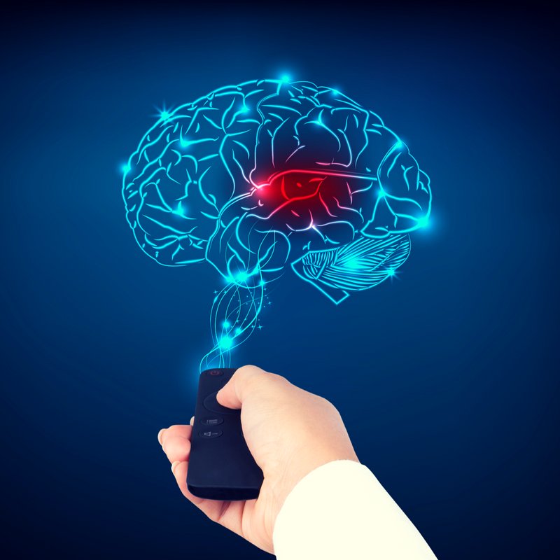sonjanschmitt's tweet photo. RT https://t.co/1446I5SaI5 There are two primary ways to harness neuroplasticity and put it to work for you. https://t.co/qa63DPs4Cc #brain #mentalhealth #MentalHealthMatters #brainpower #neurop… https://t.co/sll9TbgL3g