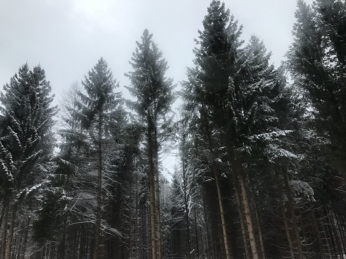 NATPICSs's tweet image. 𝕊𝕠𝕞𝕖𝕨𝕙𝕖𝕣𝕖 𝕗𝕒𝕣 𝕒𝕨𝕒𝕪 𝕗𝕣𝕠𝕞 𝕙𝕖𝕣𝕖