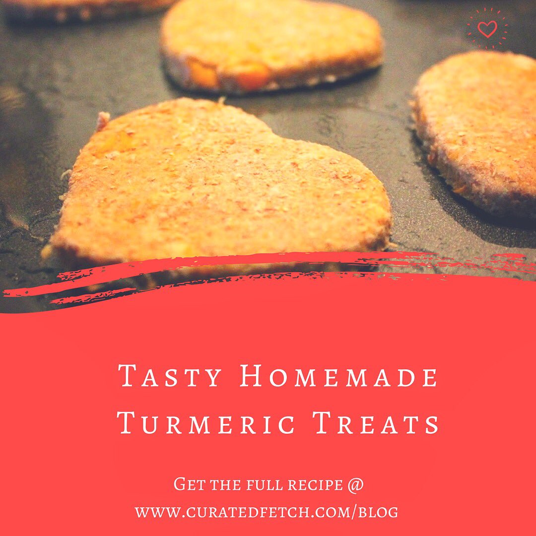 curatedfetch's tweet image. Grab the full recipe on today’s blog🐶❤️ at curatedfetch.com/blog 
Your pup will thank you🐾