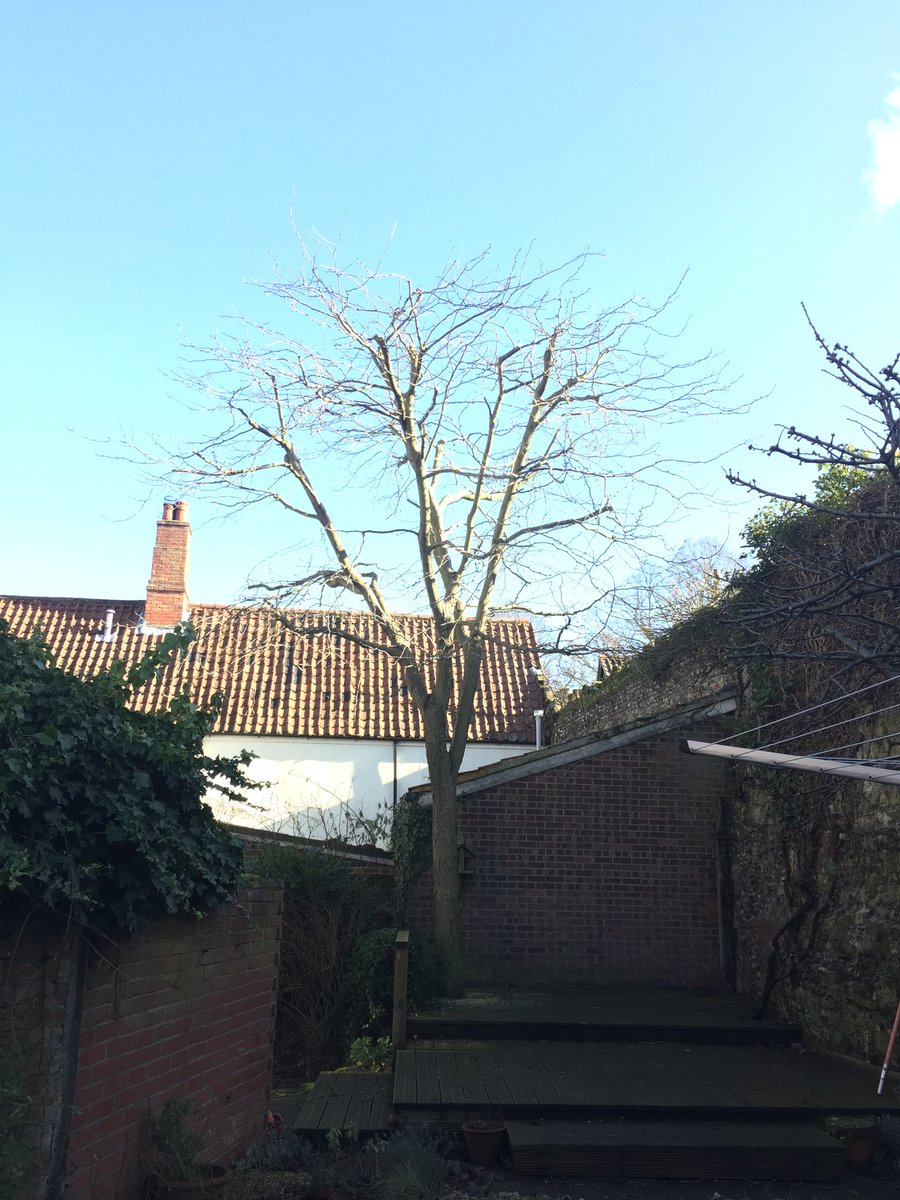 Haine Tree Services tweet media