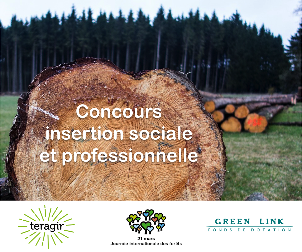 Journée internationale des forêts tweet media