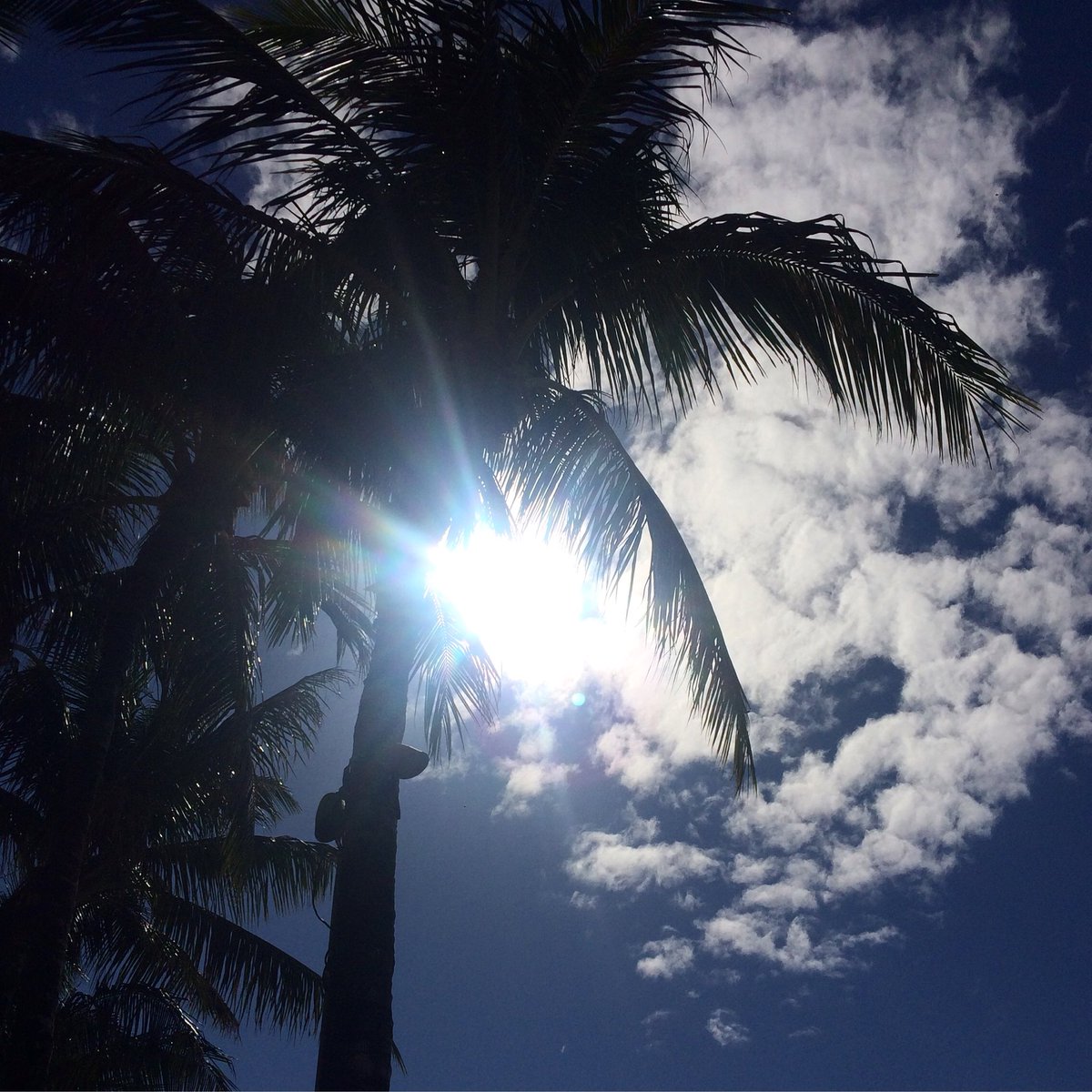 #Sunshine over #WaikikiBeach! Come out and enjoy #Beach #Sun #Water #Surf #Paddle! #Aloha! #Hawaii #Weather #ワイキキ #サンシャイン #ハワイ #天気 #いま空 #mysky #bluesky
