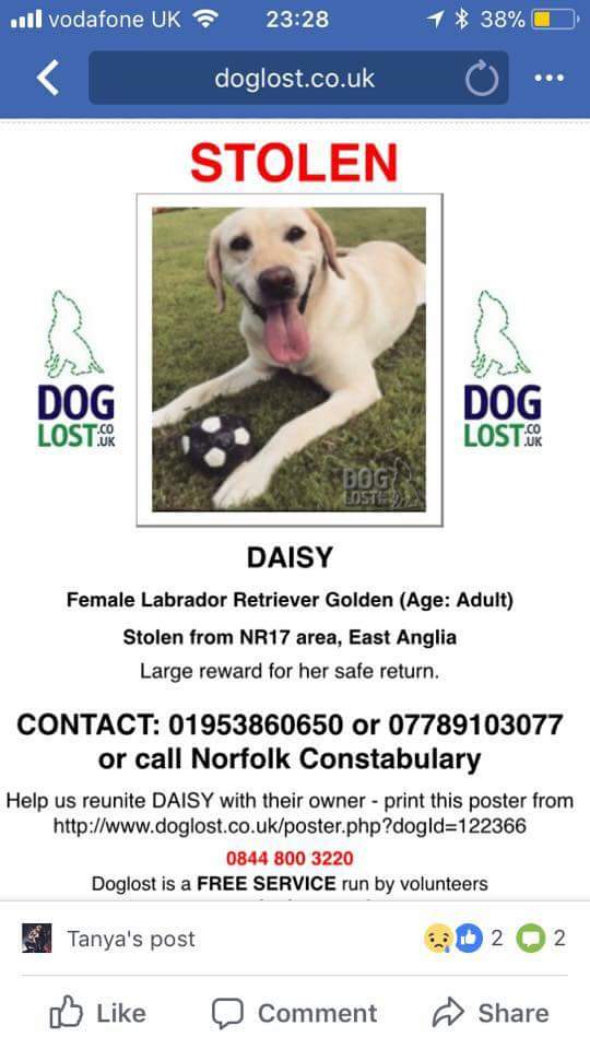 EmmaSearchForD1's tweet photo. Would u kindly retweet4us on this thoughtful Thursday plzz @whatsamadder ??Hel us find these2missing family pets. Their owners are distraught as u can imagine๐พ. #FindStolenDaisy #findmissingjet We need to bring them home asap๐ถ https://t.co/pEhzYlsOmB