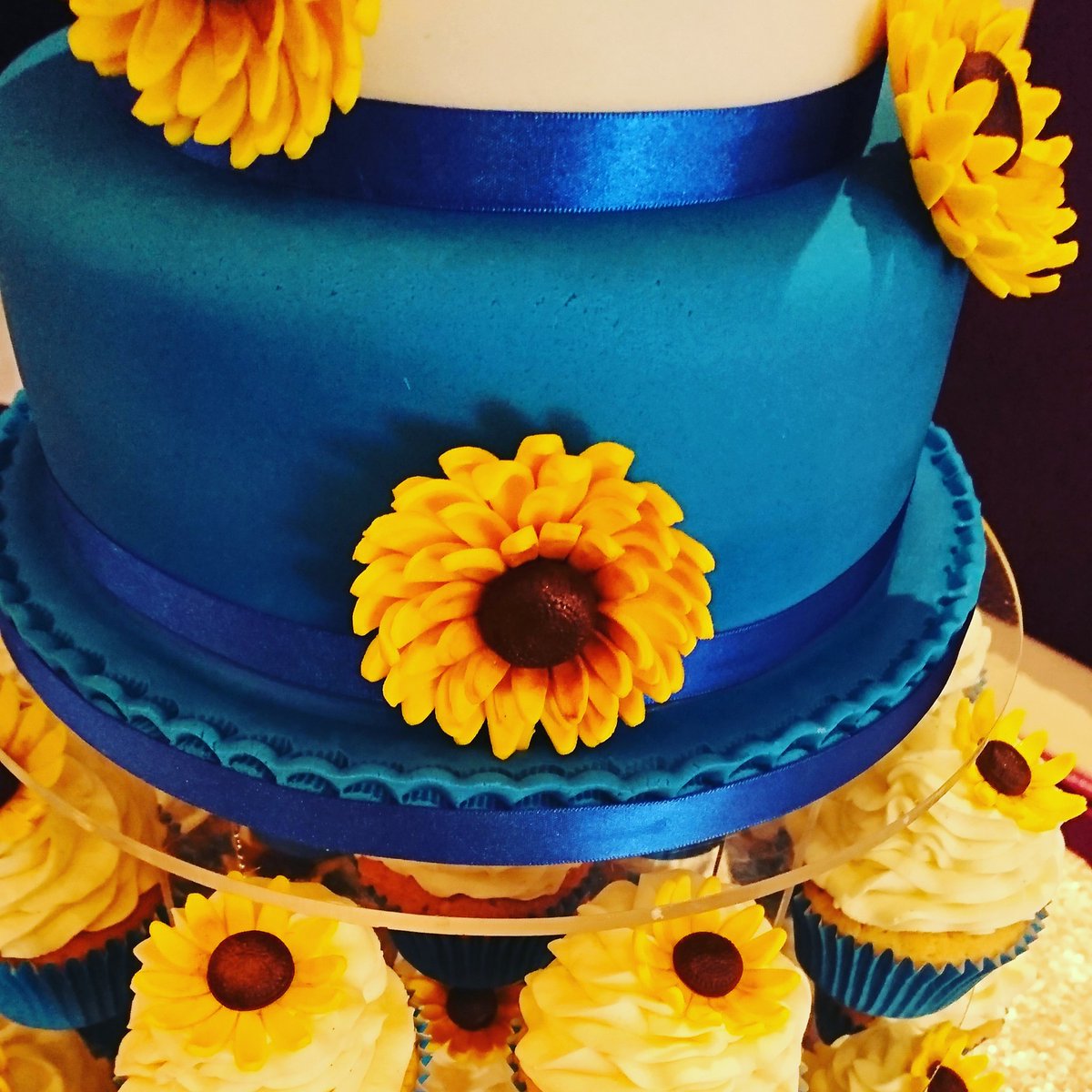 Zestycakes (@kellysyvertsen) on Twitter photo 