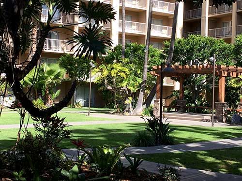IndyQuillen's tweet photo. Soaking up some sunshine and enjoying the 'quiet before the storm' when Southern California Writers' Conference kicks offs tomorrow!
#SCWriters #writers https://t.co/tfgk6oBPwF