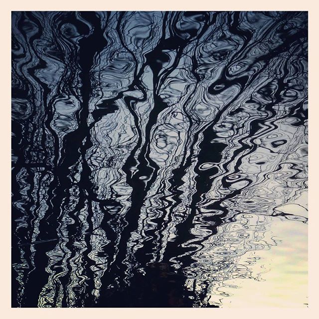 heijnisschipper's tweet image. #treereflection #tree #reflection ift.tt/2oa0VQC