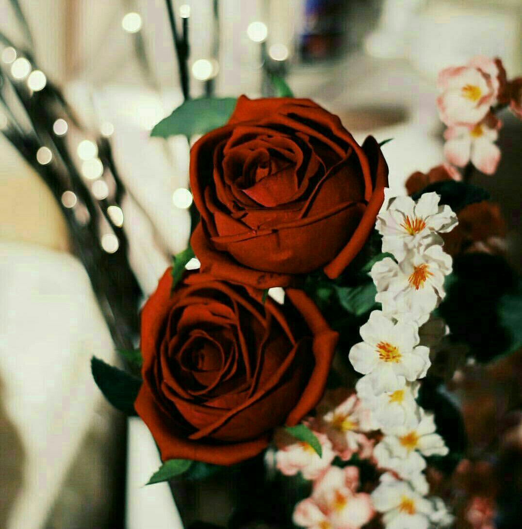 H_N_Z_90's tweet photo. سلاما لعينيك التي تطل ..بكل بهاء لتحضن  كل أوجاعي..♥️

#صوت_الوطن_للدعم https://t.co/uamyoA6oB2