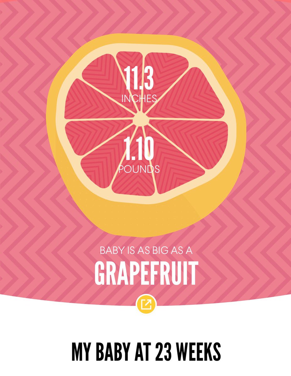 MrsZClassroom's tweet photo. This tweet is not school related, but my baby is the size of a grapefruit. 😳lol #pregnancy https://t.co/IjBSOreE5P