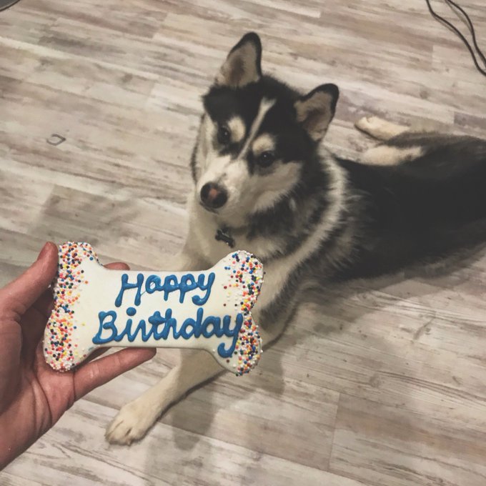 Happy birthday to my pwecious boy! https://t.co/naQVs1Blth<a href="/tag/legdayaftermath"class="tags"><span>#legdayaftermath</span></a>