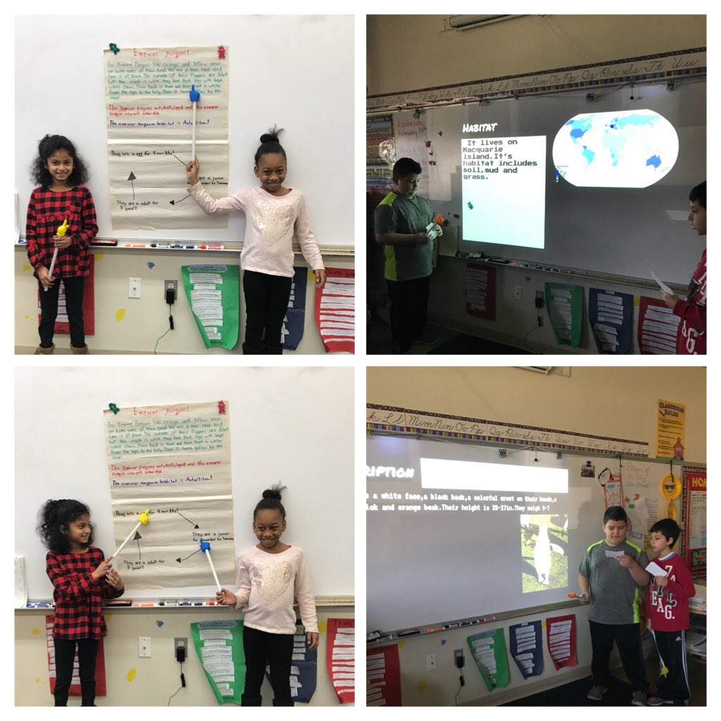 MScomillio's tweet photo. More Penguin Partner Presentations. Well researched. Great visual aids. Prepared &amp; proud. Job well done Room 16! Impressive 👏@AsaPackerBASD https://t.co/Eb376XZ3Zh