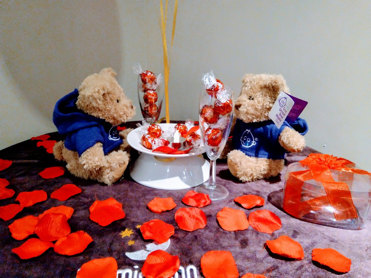 Roxana Anton tweet media