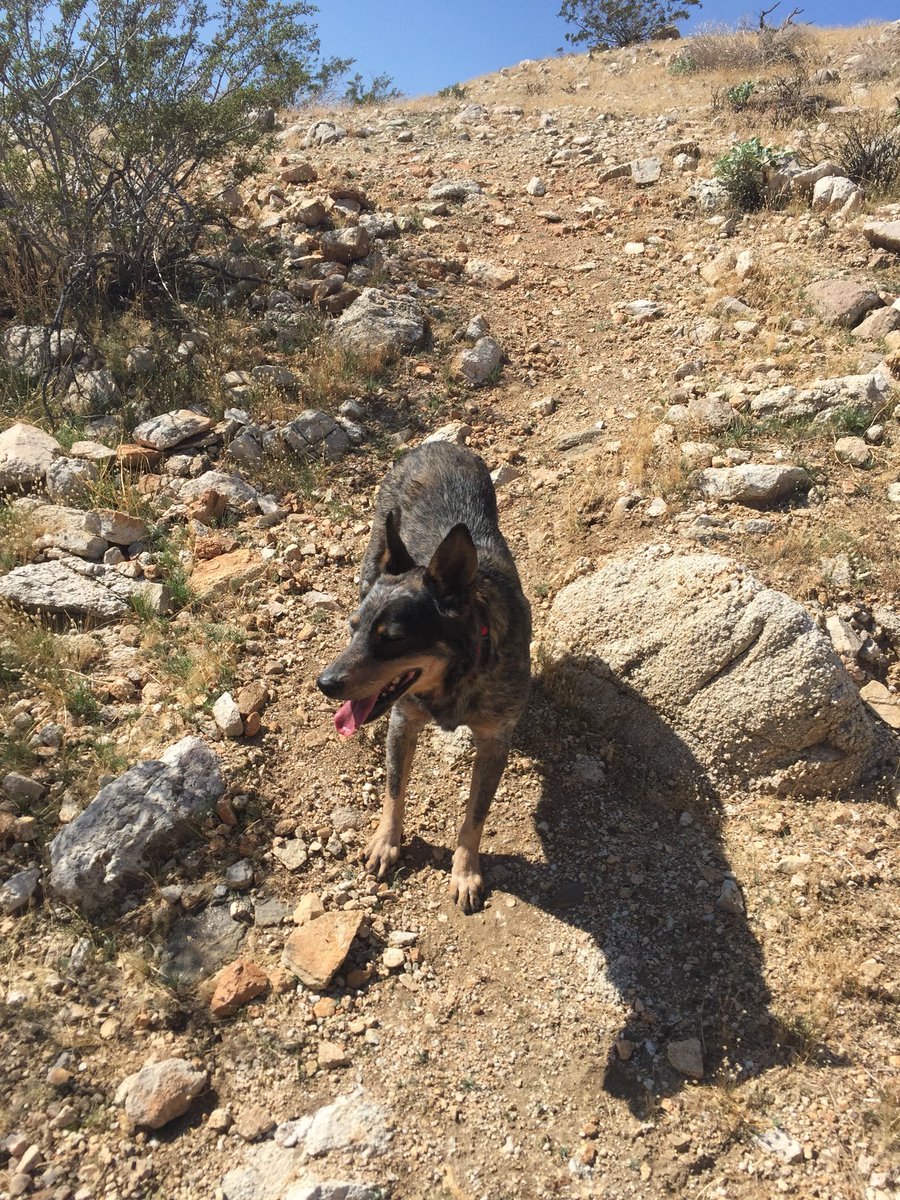 BenchTimothy's tweet image. 