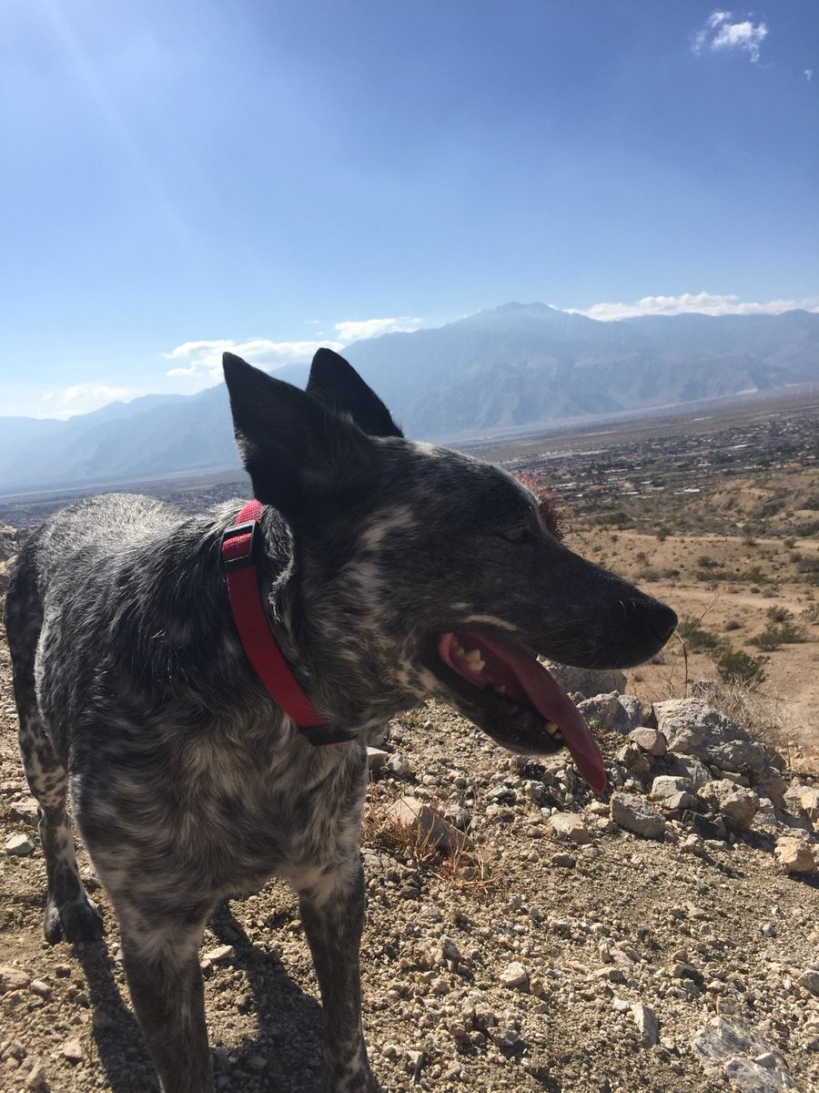 BenchTimothy's tweet image. 