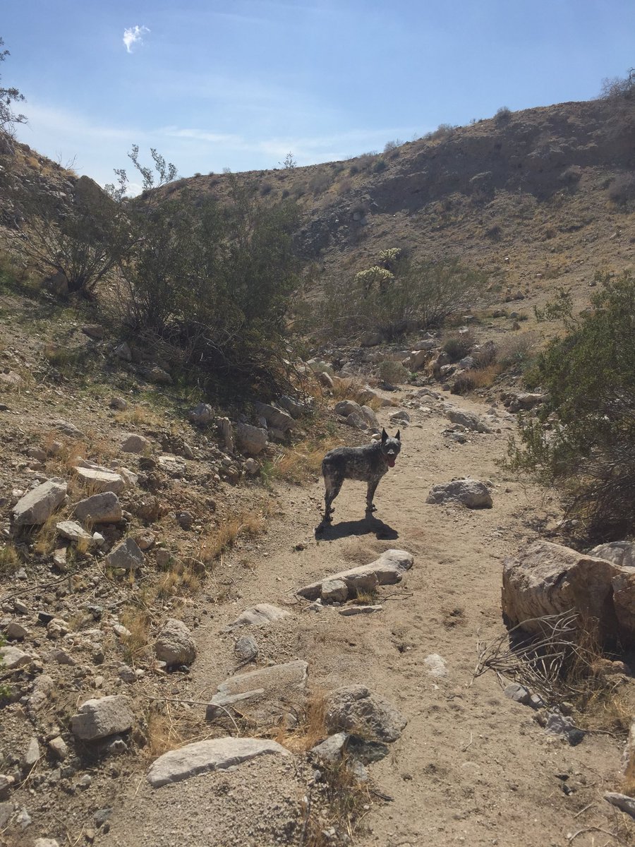 BenchTimothy's tweet image. 