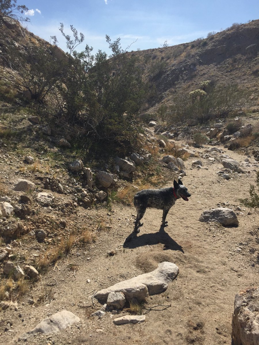 BenchTimothy's tweet image. 