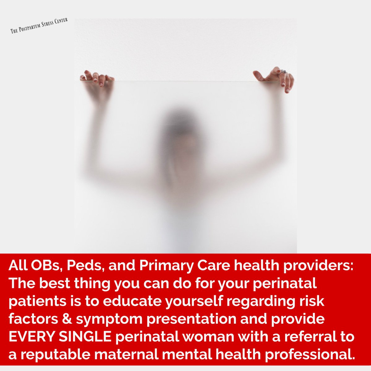 ppstresscenter's tweet photo. All OBs, Peds, and Primary Care docs: The best thing you can do for your perinatal patients is to educate yourself regarding risk factors and symptom presentation and provide EVERY SINGLE perinatal woman with a referral to a reputable maternal mental health professional. https://t.co/2CcxPHSMAF