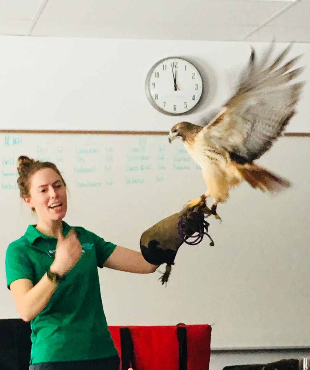 mrshahnk's tweet photo. 2nd grade loved learning about the food chain today.  Great presentation from #LeslieScienceCenter! @a2Thurston https://t.co/kQ22kBXLye