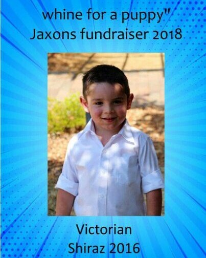 samplewines's tweet image. Fundraising with wines where you can make a great profit for your group @samplewines