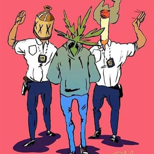 Cannabicultores Necochea y Quequén (@cannabineco) on Twitter photo 