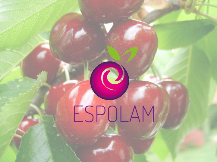 Espolam's tweet photo. ¿Sabias qué en la última temporada 2016-2017 Chile exportó más de 100.000 ton. de cerezas, sin embargo se producen pérdidas millonarias cada año? 🍒
Si tienes relación con este fruto, ayúdanos a contestar este breve cuestionario 👉: https://t.co/luSYhpkfNs https://t.co/gOkrPLrxZh