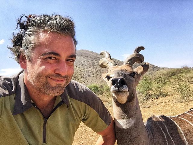 CocktailMD's tweet photo. Remember that one time? #KuduSelfie #SelfieGame #TsavoWest #TsavoEast #Kenya #Africa #TravelLife #Wildlife #NatGeo #NationalGeographic #ITookThis #IShotThis #Kudu #LesserKudu https://t.co/FJhqWXKLw3 https://t.co/uaINEnBFzy