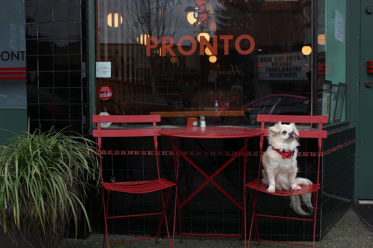 CentroDenman tweet media