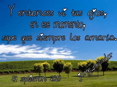 el_jorgais tweet media