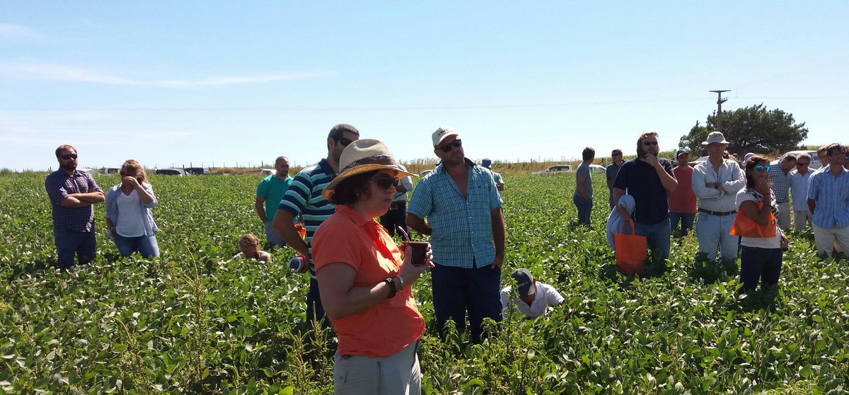 esmangrullo's tweet photo. Juntos sabemos más,  @MaluZapiola @argenbiooficial #Enmalezados2018 @aapresid @aapresidneco @AAPPCE @ASACIM_Malezas @intaargentina @AIANecochea @AgroindusNeco @BASF @DowAgroARG @Syngenta_ar @BayerAgroArg @SummitAgroAr @InsuAgro @MilarSacha https://t.co/qQy9LbnvZH