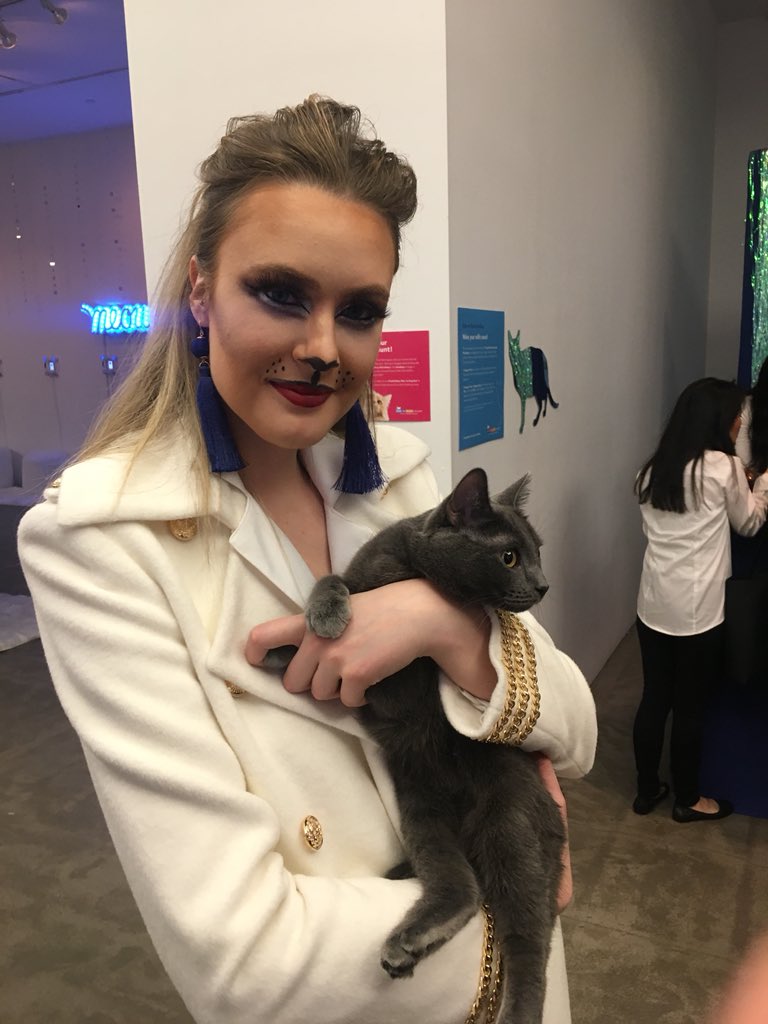 aghigo's tweet photo. Come adopt a cat this weekend at #CatsOnGlass BY @FreshStep in NYC. https://t.co/GxDIng62Cq