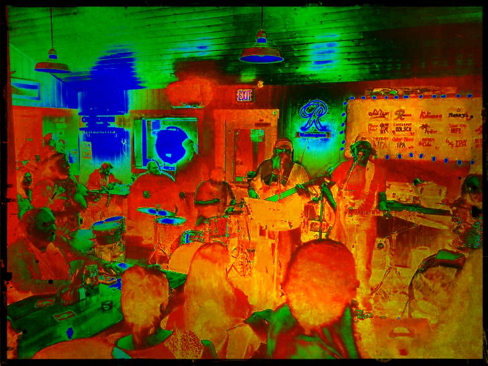 Sleepy Alligators tweet media