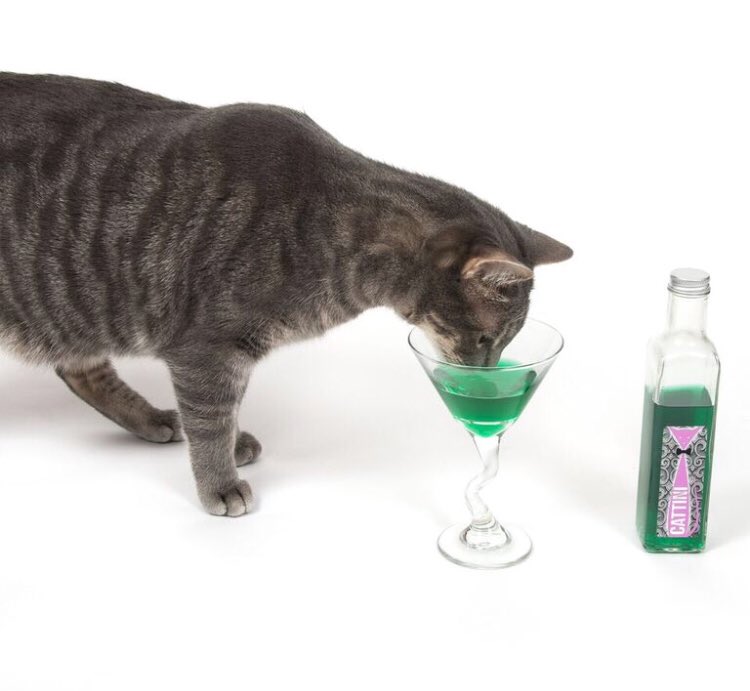 petwinery's tweet photo. We know that not all cats react to catnip, which is why we created the #CatTini, made with organic valerian root. Valerian is an excellent alternative to catnip if your kitty is one of the many that are unaffected by the stimulating effects of catnip! https://t.co/R8atJxNCkX