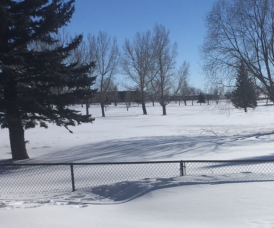 chinridge's tweet image. OK I think I figured out where the dog is getting out.  #snowproblems