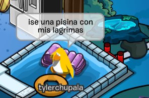memes feos yo qué sé (@memefeos) on Twitter photo 