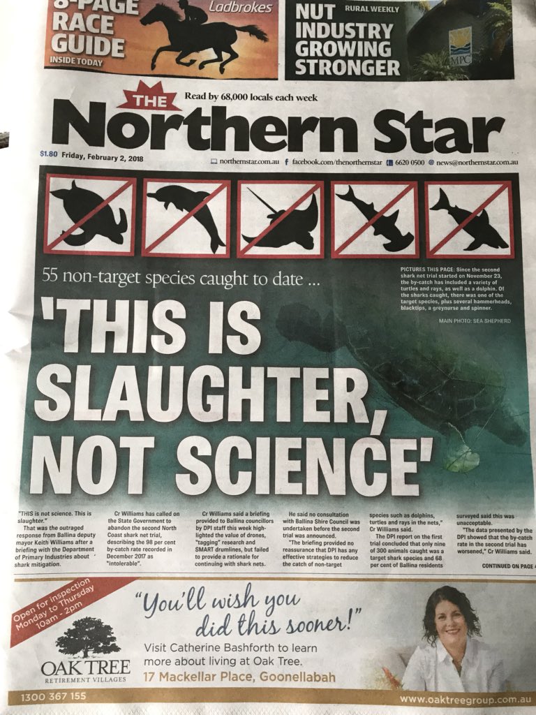 OzEcology's tweet photo. The cruel, out-dated, Shark mitigation methods employed by a cruel, out-dated government and cruel, out-dated science @nswdpi @NiallBlairMLC #sharknets #KeyThreateningProcess #NSWpol https://t.co/UtQlLZxYao