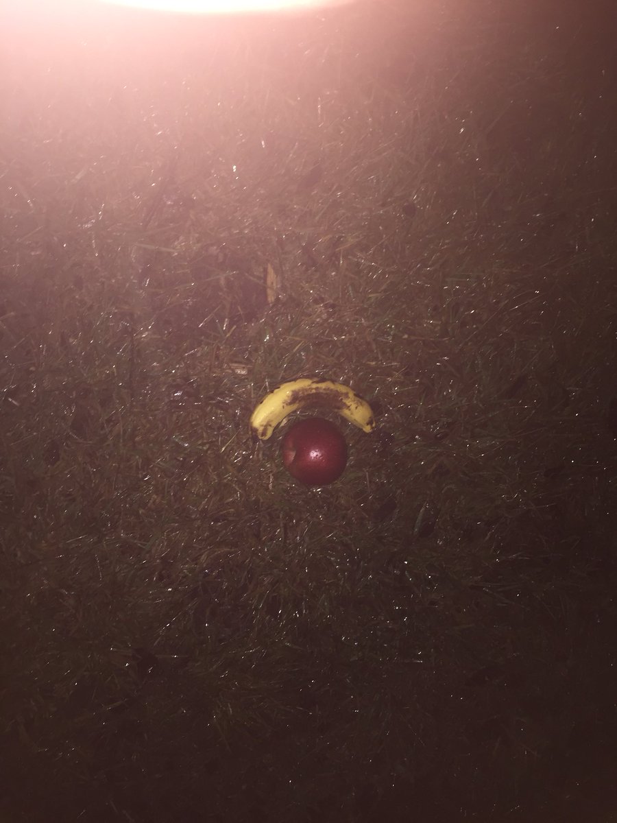 josephsmith3523's tweet photo. UPDATE: farmer joe’s crops have received rainfall🍌🍎Jason aldean sure was not lying when he said rain was a good thing☔️Lawrenceville bouta be eating good! My crops have no offseason! 👨‍🌾😈you couldn’t be a farmer even if you wanted to 💁‍♂️ #justacatholicfarmingforjesus🙏 https://t.co/dTtHw75Wfu