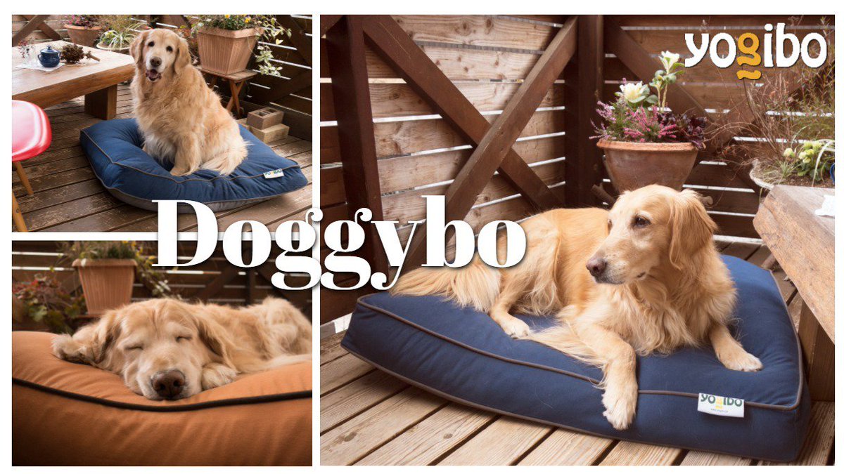 Yogibo Japan ヨギボージャパン 公式 Ar Twitter New Item Yogiboに座りたい と思ったらペットが座っていると言う経験はありますか Doggybo はyogiboソファと同じ生地とビーズのペット用ソファです サイズ Max Midi Mini 色 ダークグレー ネイビー Yogibo Japan ヨギボージャパン 公式 Ar Twitter New Item Yogiboに座りたい と思ったらペットが座っていると言う経験はありますか Doggybo はyogiboソファと同じ生地とビーズのペット用ソファです サイズ Max Midi Mini 色 ダークグレー ネイビー