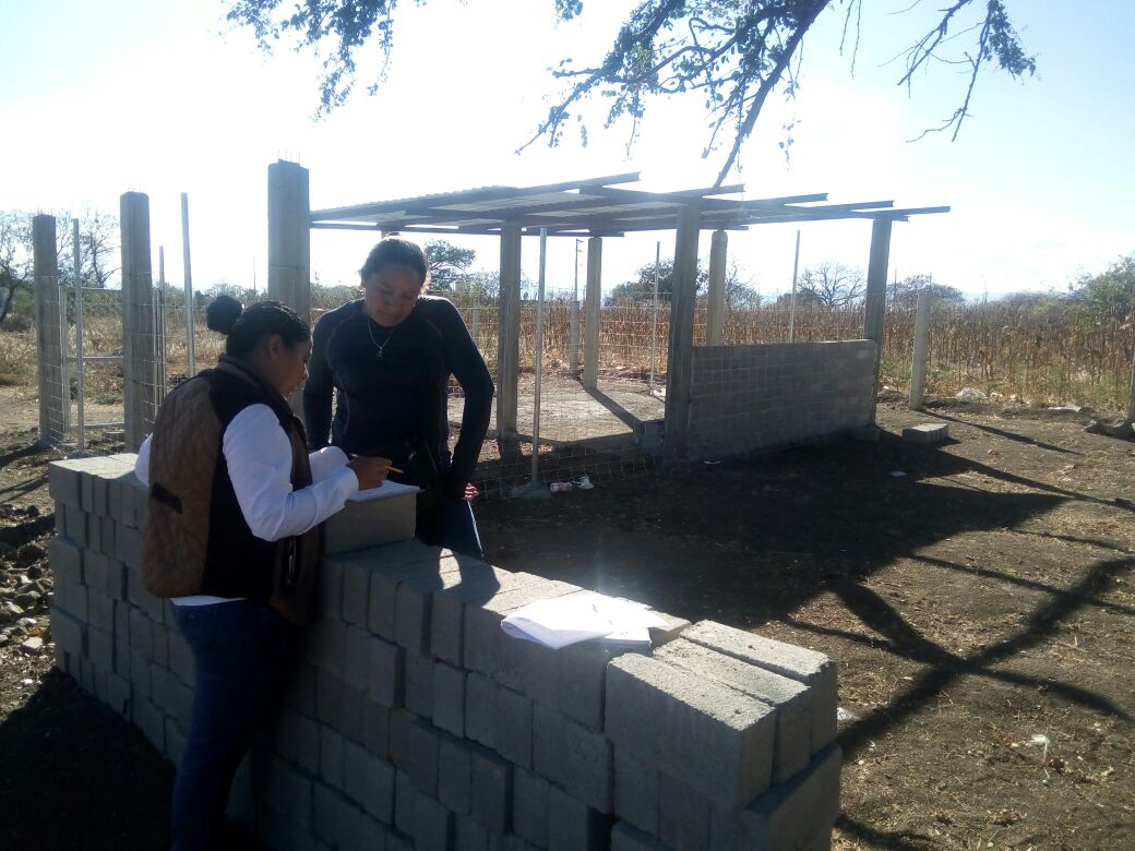 Felix_Gtz_P's tweet photo. Equipo de evaluadores y coordinadora @veroejg de la #IESOaxaca en la prueba piloto de la verificación de familias @PESA_Oax @PesaOaxaca  en #SantoTomásJalieza región Zaachila con la @Adrs_Zaachila @PESAMEXICO @MCSProductores @_rubenluna  @LinoVelazquez @RigobertoGomez_ https://t.co/lyBLvfeie6