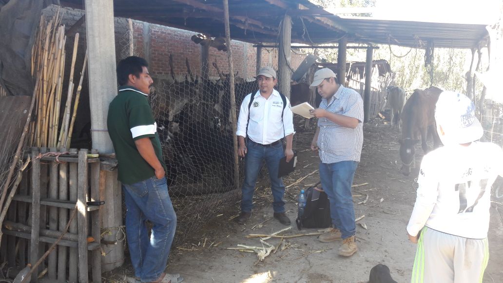 Felix_Gtz_P's tweet photo. Equipo de evaluadores y coordinadora @veroejg de la #IESOaxaca en la prueba piloto de la verificación de familias @PESA_Oax @PesaOaxaca  en #SantoTomásJalieza región Zaachila con la @Adrs_Zaachila @PESAMEXICO @MCSProductores @_rubenluna  @LinoVelazquez @RigobertoGomez_ https://t.co/lyBLvfeie6
